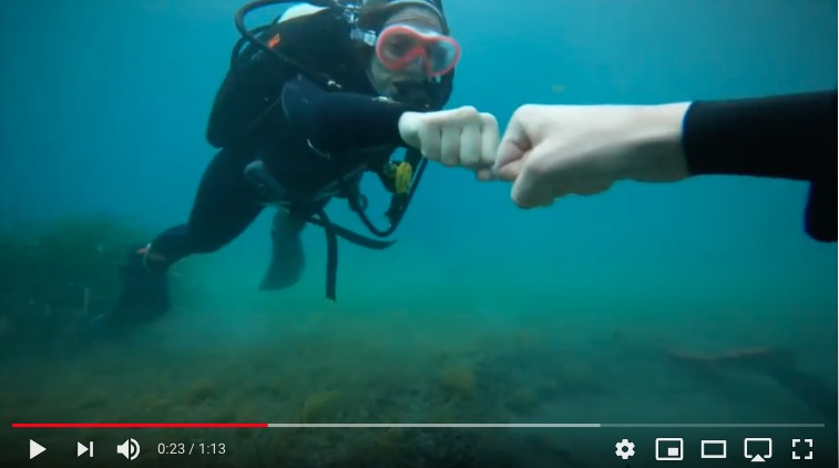 Vídeo – Open Water Diver